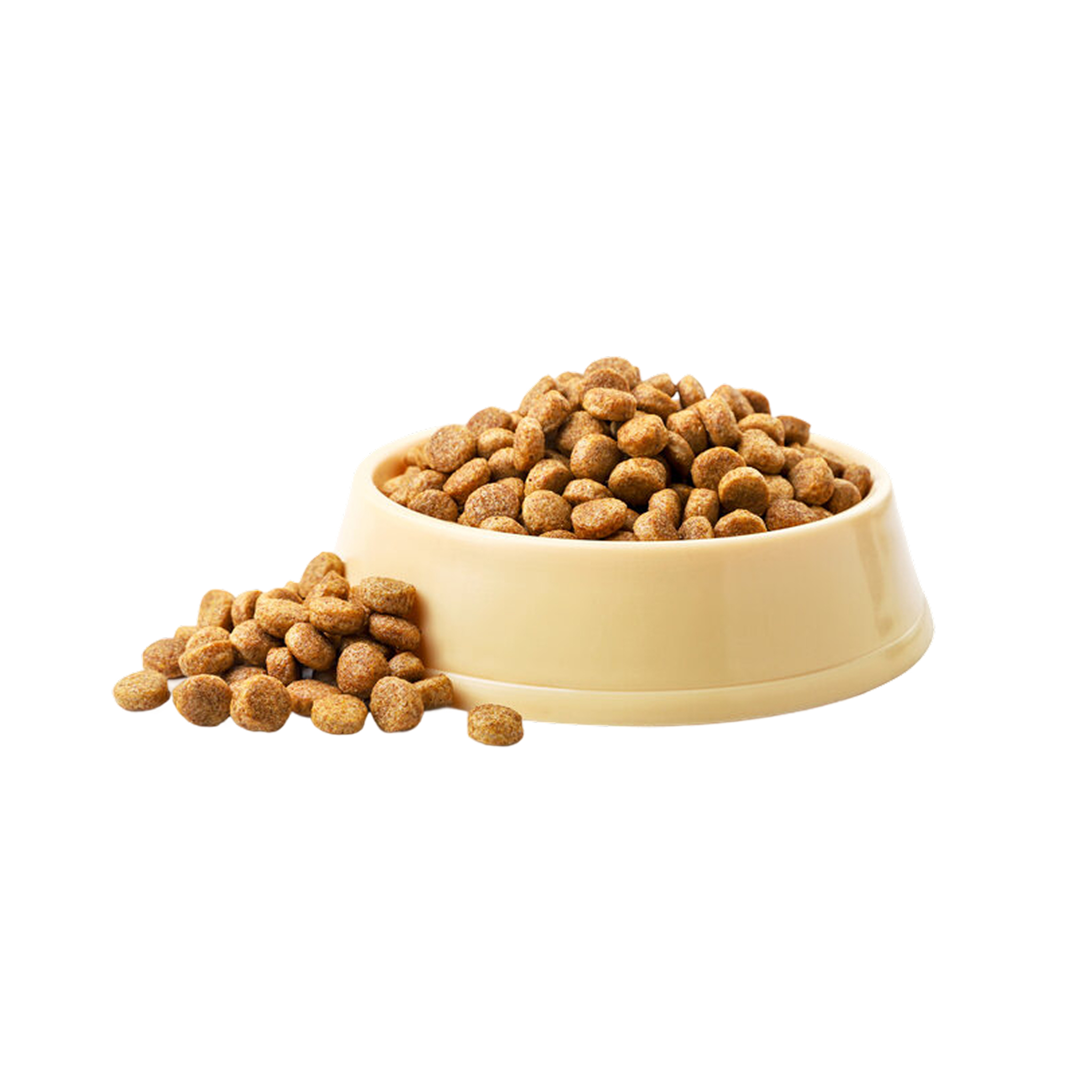 Pet Supplies