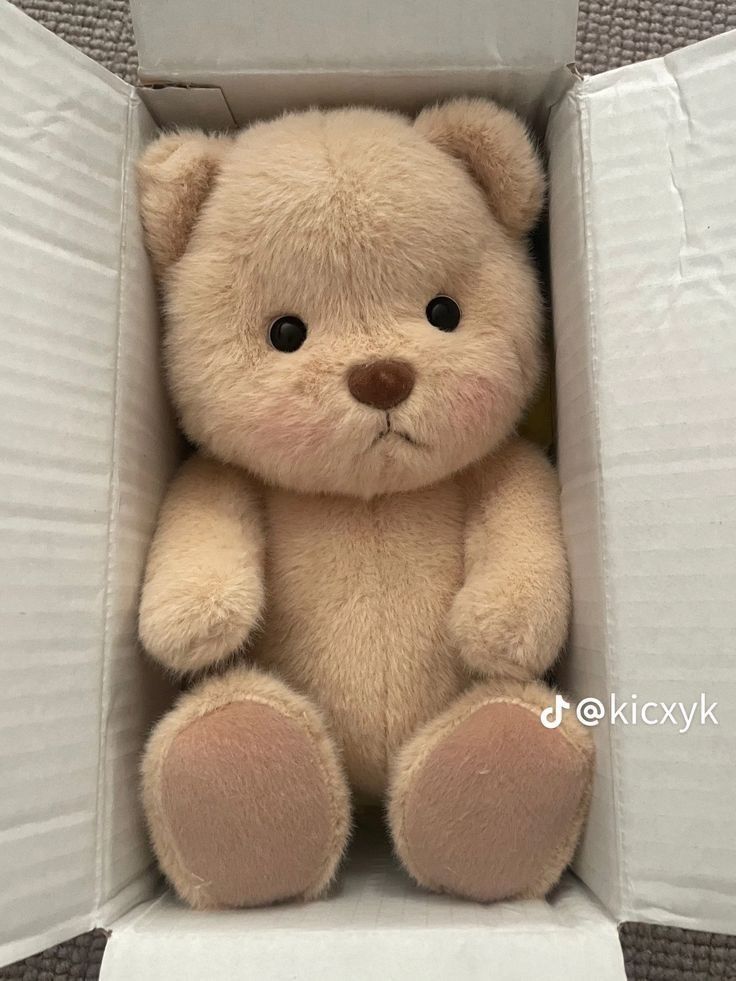 Teddy