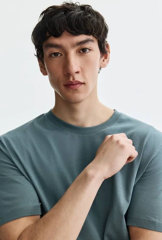 mens regular Tshit